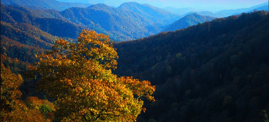The beautiful colors of fall in the mountains of Western North Carolina.