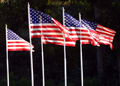 Line of Flags