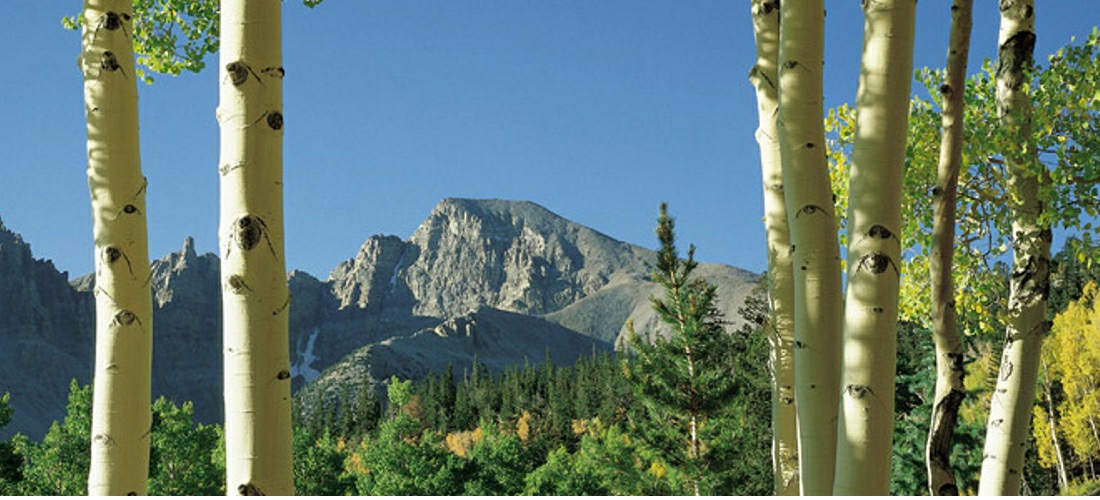 Great Basin National Park is a United States National Park established in 1986, located in east-central Nevada near the Utah border.