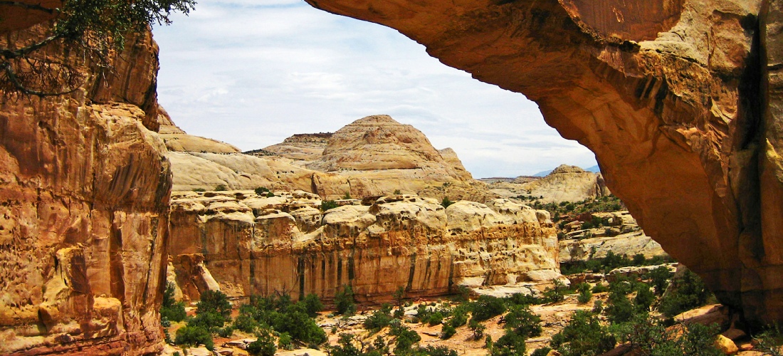 Hickman Bridge is one of the highlights of Capitol Reef - a large, elegant natural arch in a scenic side canyon far above the Fremont River, surrounded by the great white domes of Navajo sandstone that characterize the national park. It is quite easily reached, by just a 1.2 mile hike from UT 24, and receives a steady stream of visitors