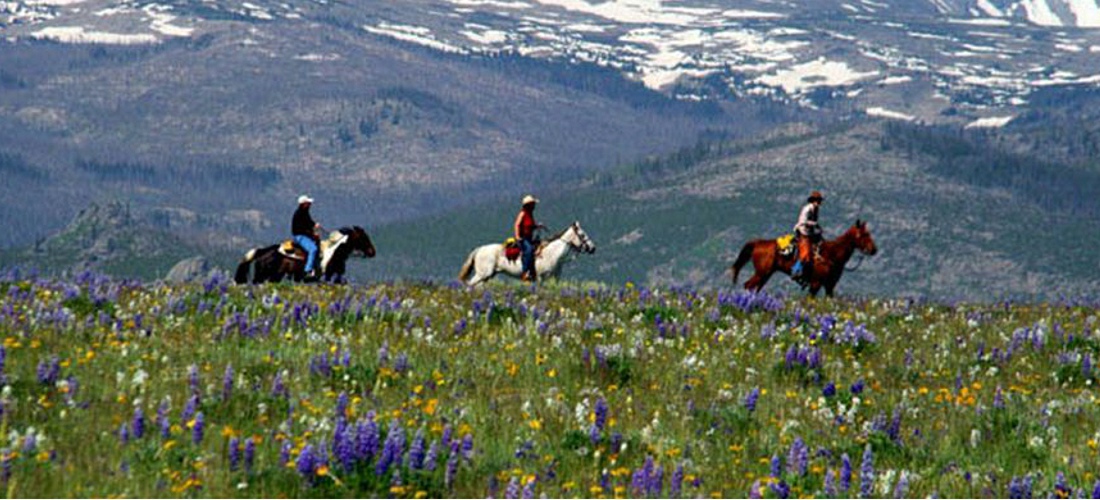 Horseback riding - Discover Wyoming's beautiful cities, towns and beautiful landscapes.  Wyoming is for adventure!  From its lush forests and rolling hills to magnificent beaches - Wyoming is a Vacation and Adventure Destination you will enjoy.  See America - See Wyoming -a USA Travel Guide Destination!