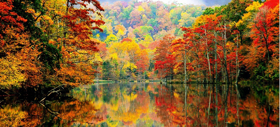 Majestic color of autumn in Oklahoma.